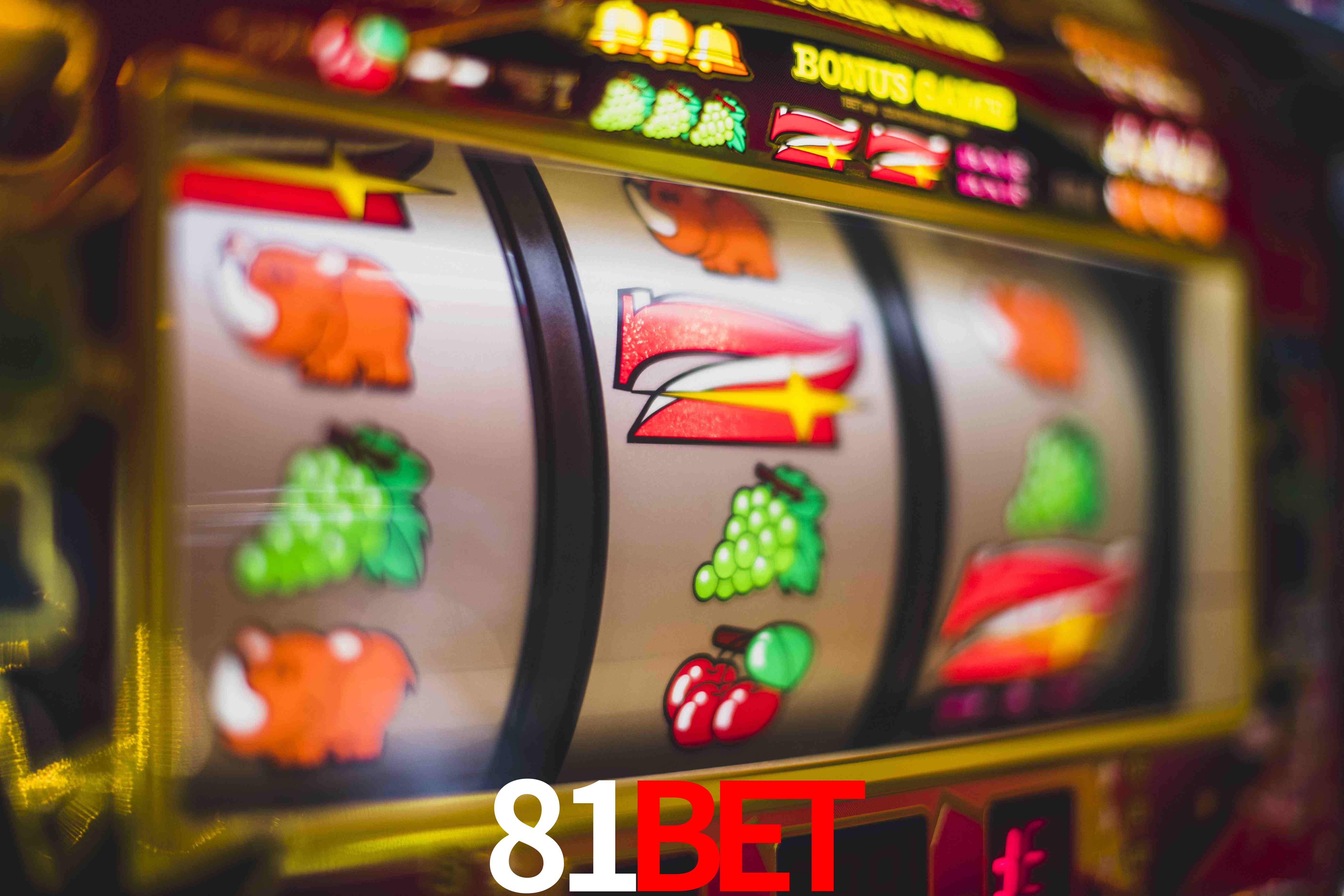 Crash Games Strategies 81bet